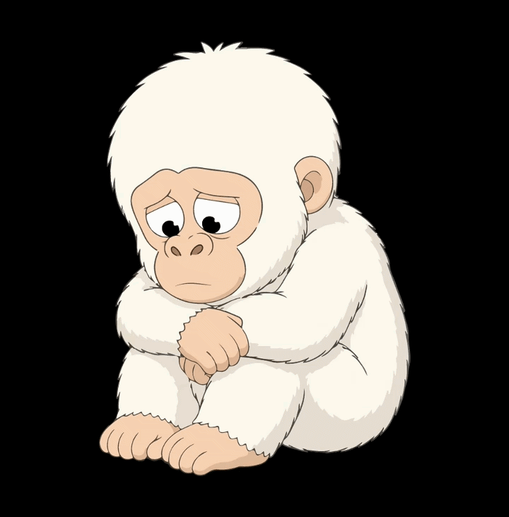 Albino gorilla embrace